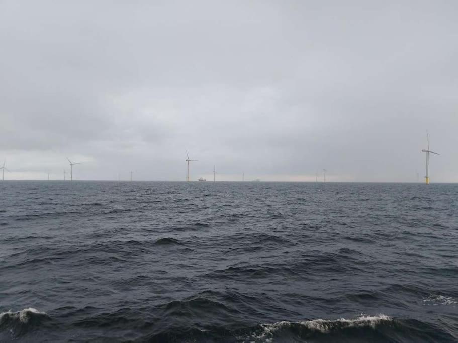 Fewo Nordsee Whng 3 Schillig Bagian luar foto